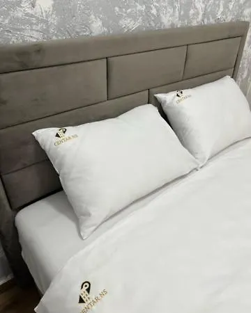 Apartment Centar Ns4
